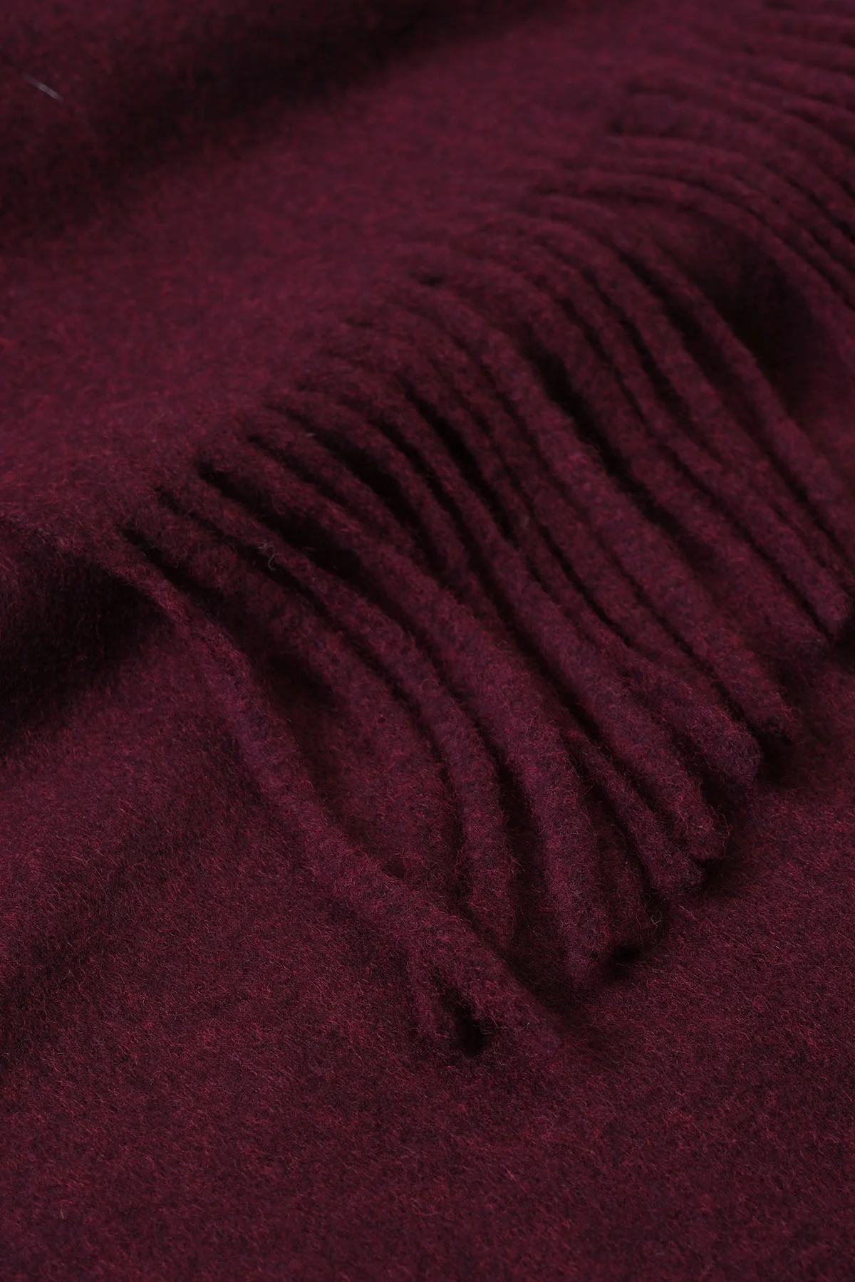 FRINGED EDGED SCARF - Image 4